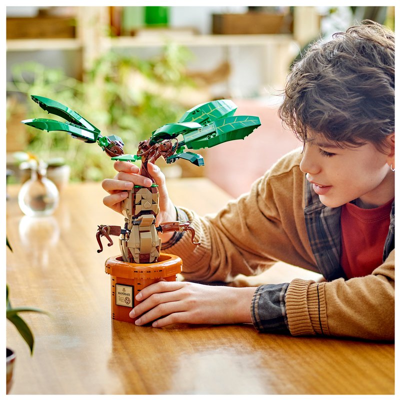 LEGO Harry Potter Mandrake Building Set (76433) 3 LEGO Harry Potter Mandrake Building Set (76433)
